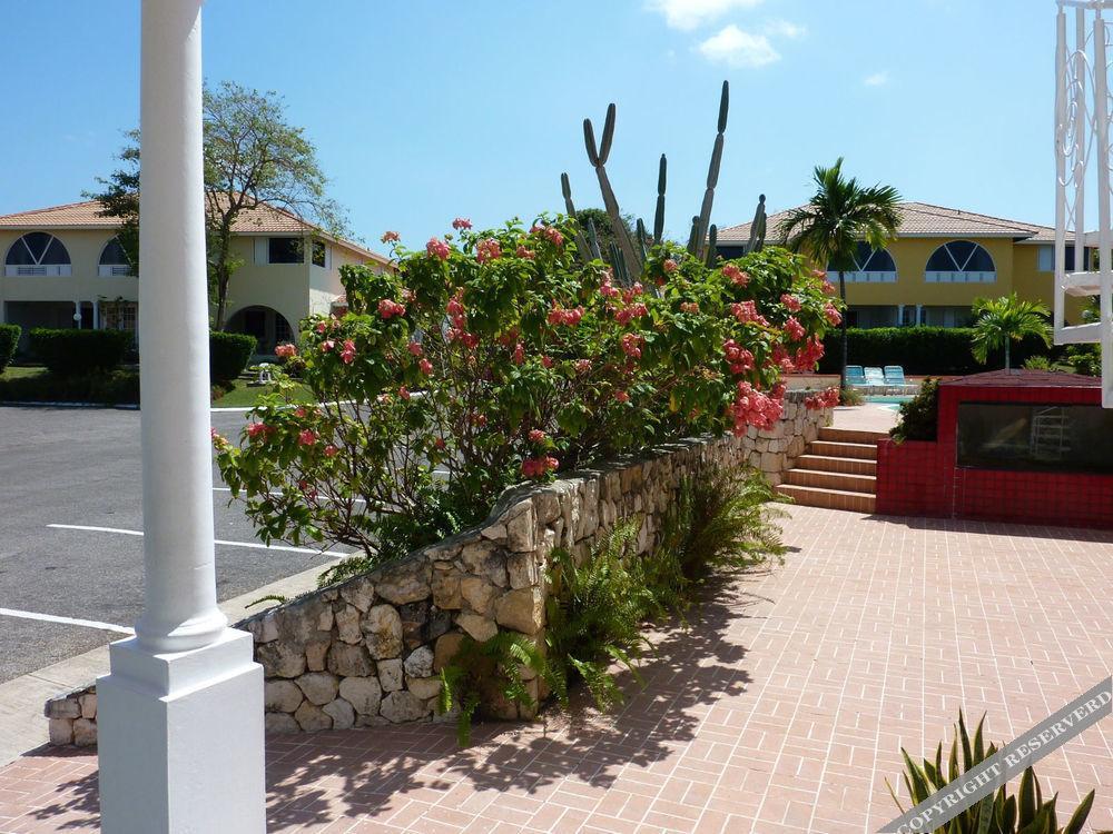 The Atrium At Ironshore Montego Bay Exteriör bild
